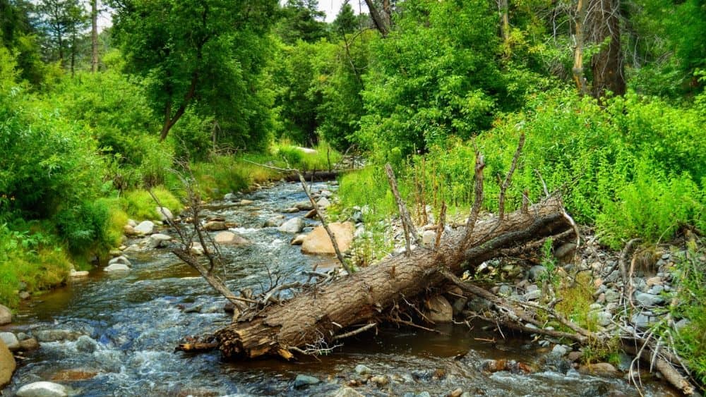3 killed, including 2 children, in ‘unprecedented’ flooding in New Mexico