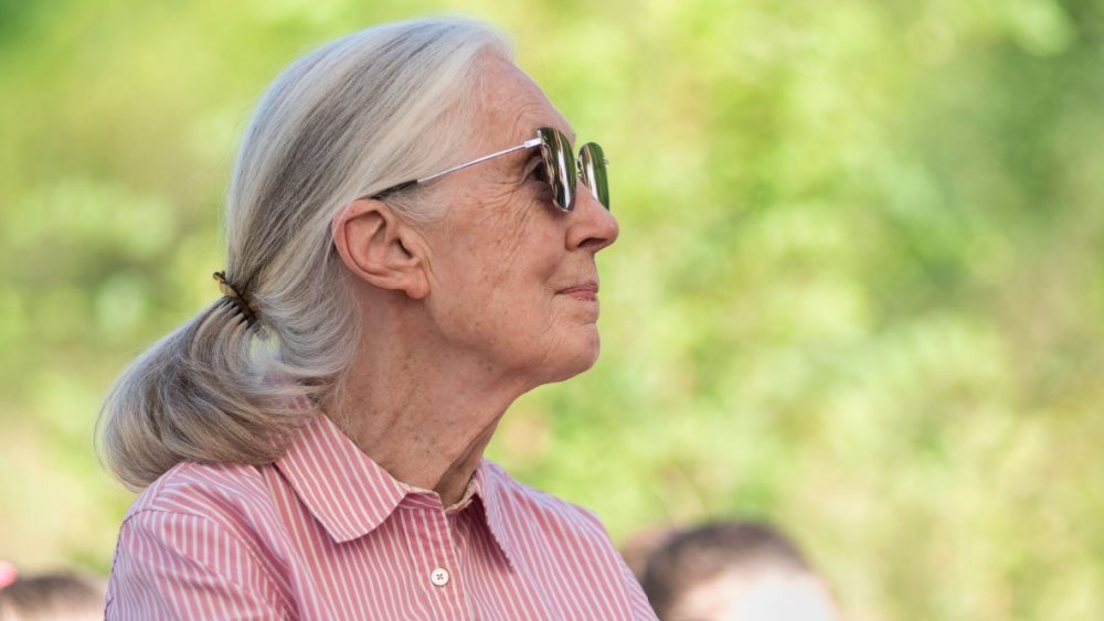 Famed conservationist Dr. Jane Goodall dies at age 91