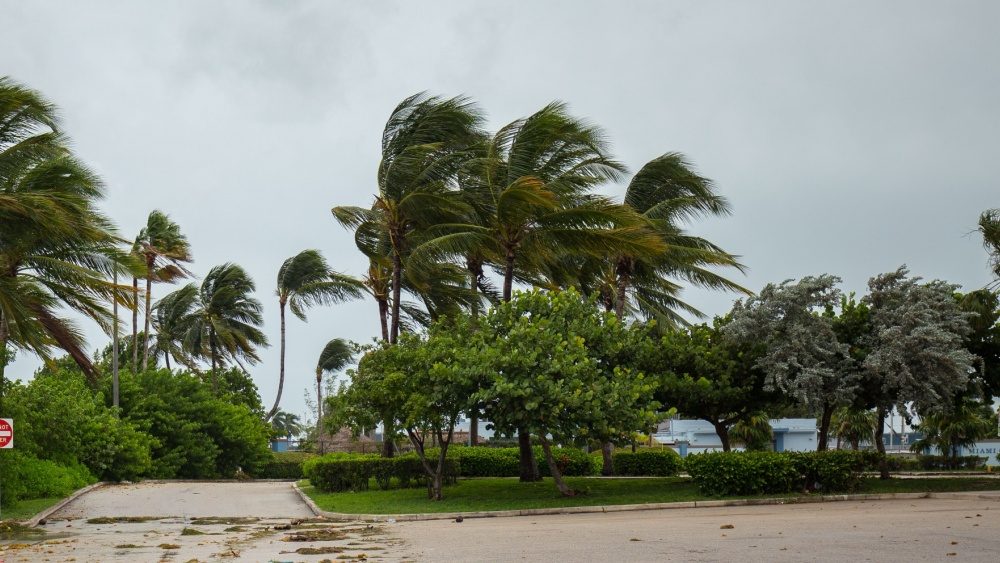 Hurricane Melissa to make landfall in Jamaica as Category 5 storm