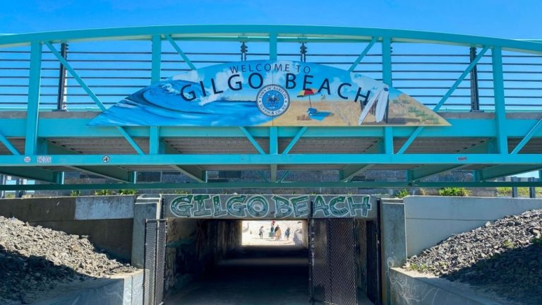 Rex Heuermann pleads guilty to murders of eight women in Gilgo Beach case