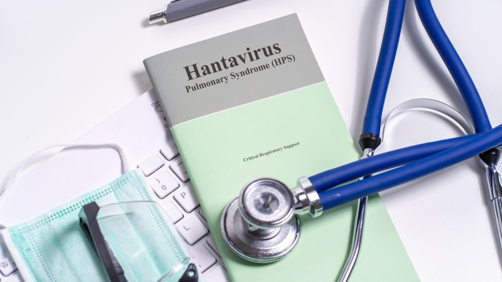 Some ‘human-to-human transmission’ possible in hantavirus outbreak aboard cruise ship