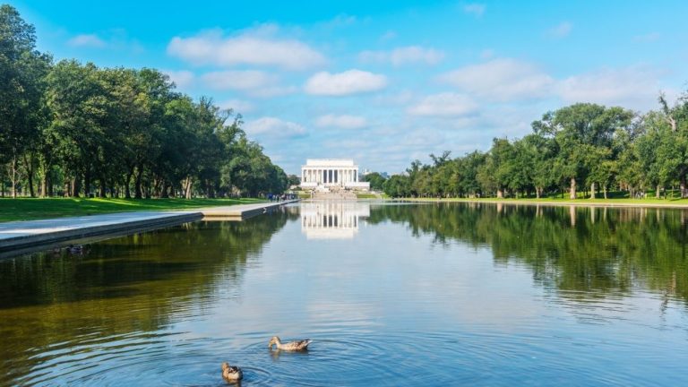 Arrests made as authorities investigate alleged damage at Lincoln Memorial Reflecting Pool